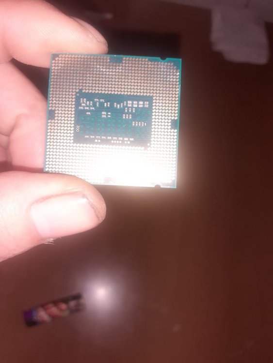 244398144_1307878202971079_8107137136055157801_n.jpg