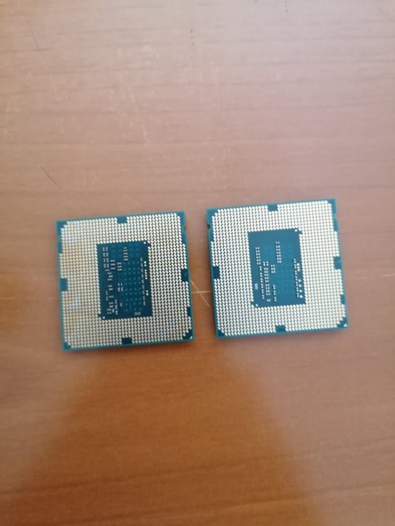 244403609_1008847406578033_6820554372142116984_n.jpg