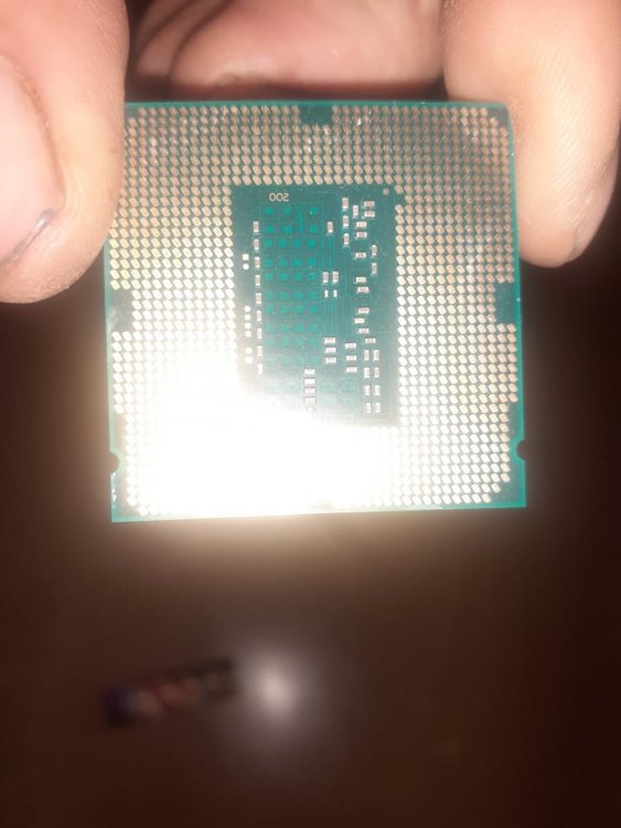 244423954_2647865485516439_8913587936636492209_n.jpg