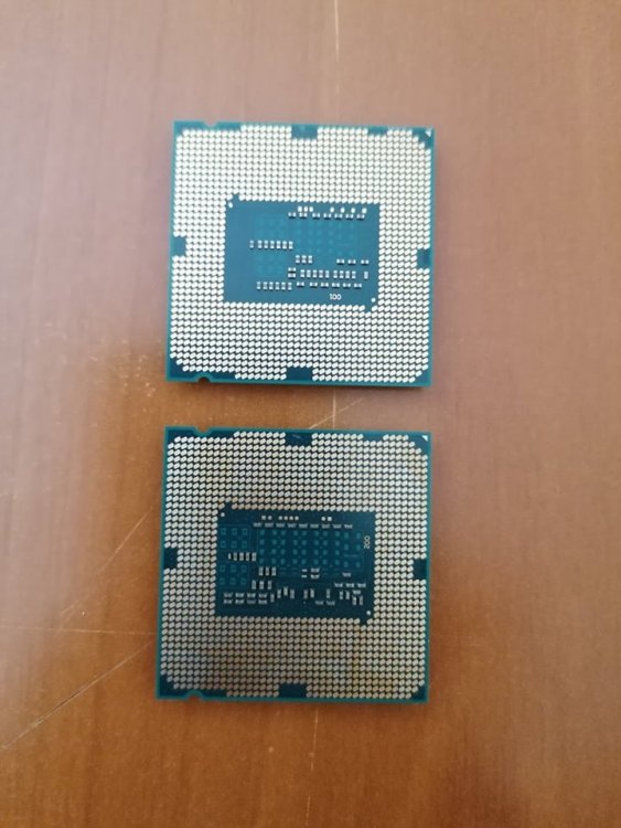 244452104_580184843024492_328116089628472069_n.jpg