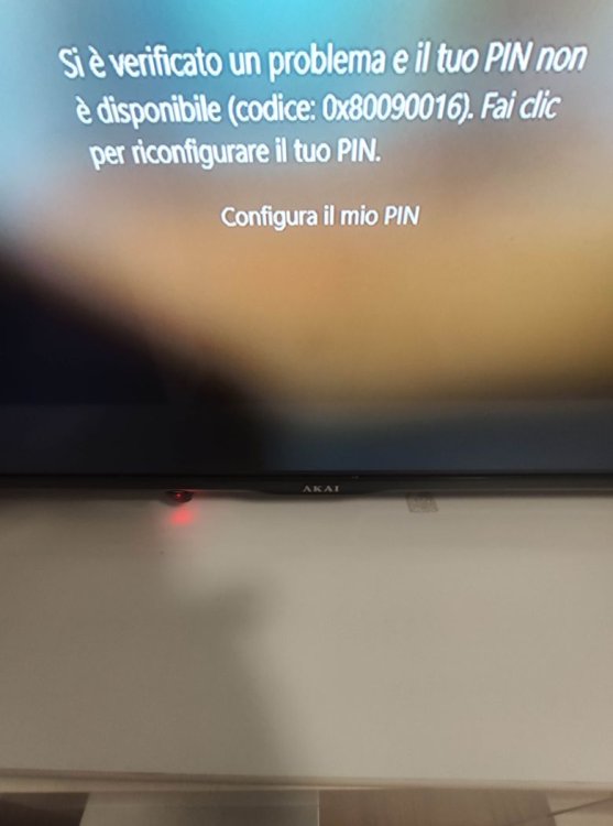 compressed_1674155807569.jpg