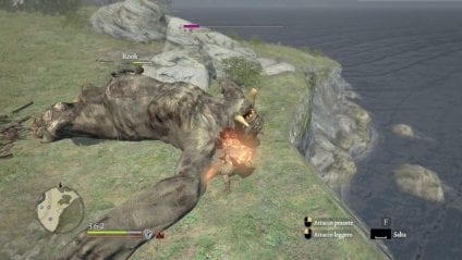 Dragon's Dogma 1