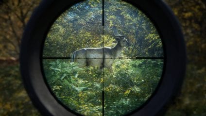 thehunter-annuncio-1