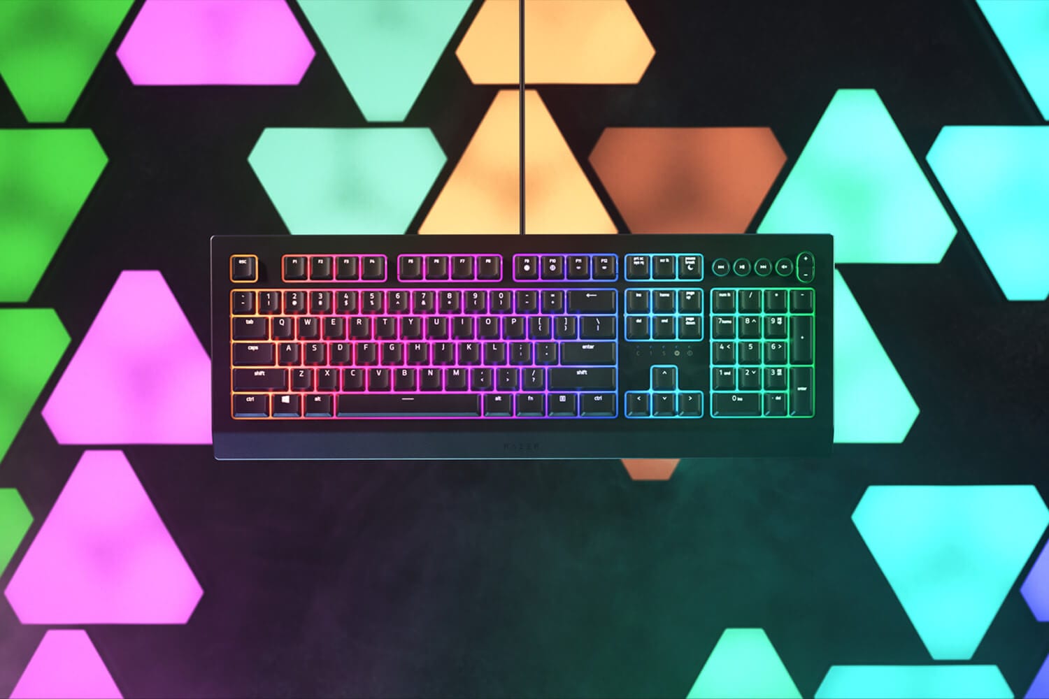 Razer Cynosa V2, tastiera entry-level con tasti retroilluminati singolarmente