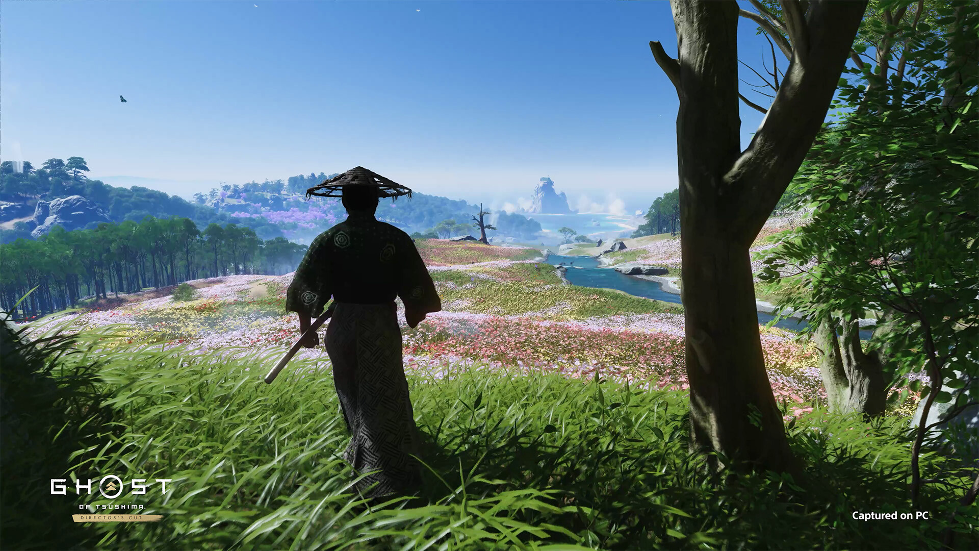 Ghost of Tsushima Director’s Cut pc