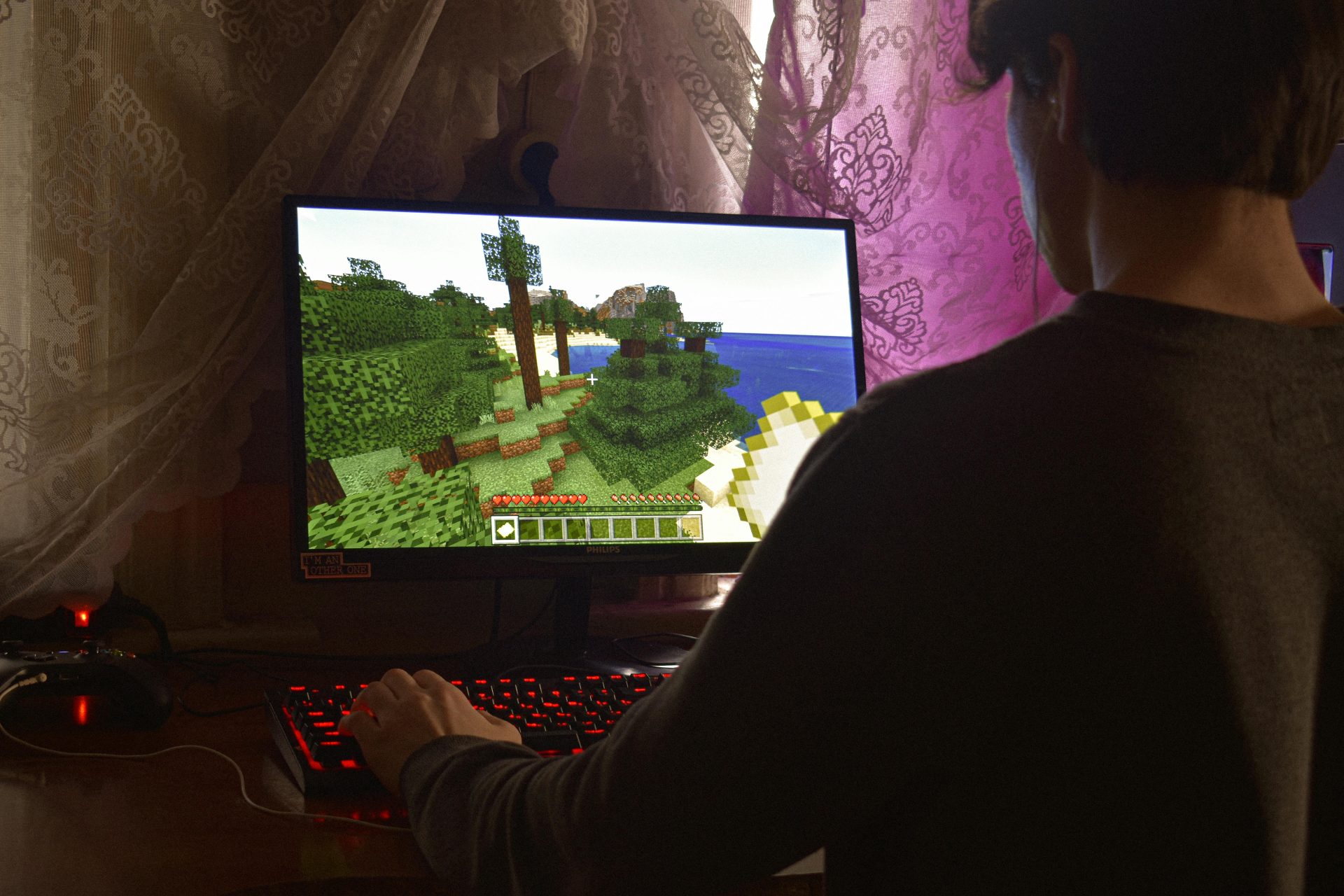 minecraft gaming