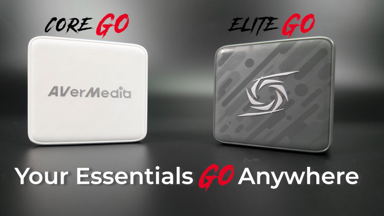 avermedia ELITE GO GC313Pro